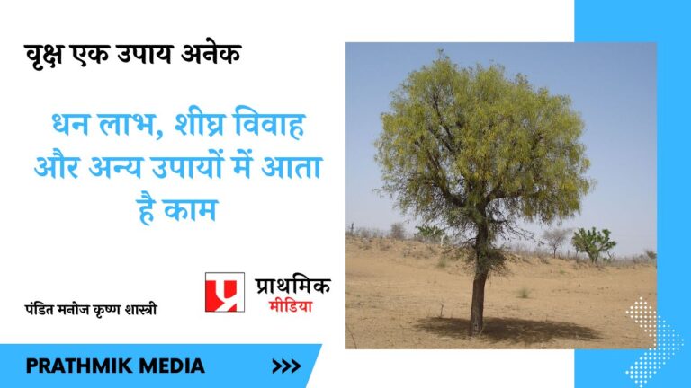 अर्जुन का धनुष बनाने में काम आया ये वृक्ष देता है धन लाभ