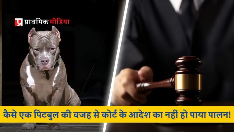 विदेशी नस्ल के श्वान की वजह से नहीं हो सका न्यायालय के आदेश का पालन!